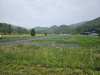 image000000